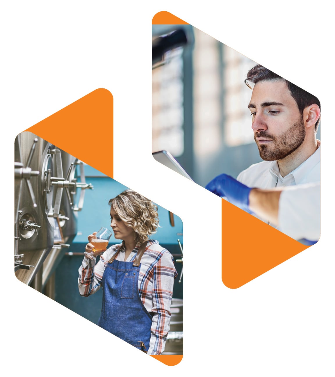 Optimize yields and improve brew quality with enzymes [translations pending] banner image